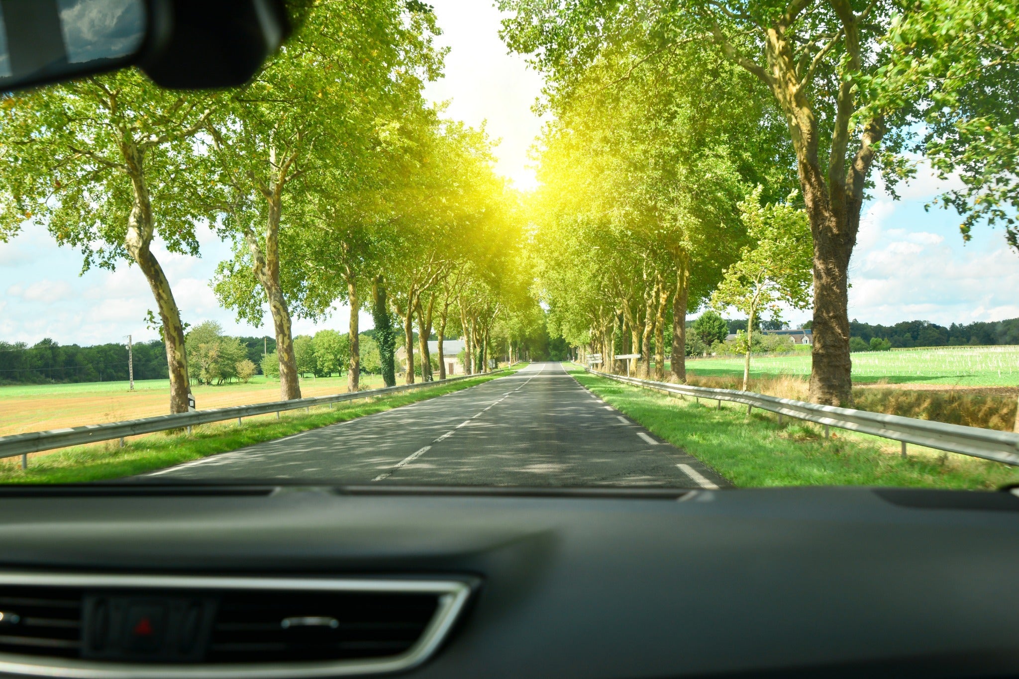 Scenic tree lined country road viewed through car windscreen