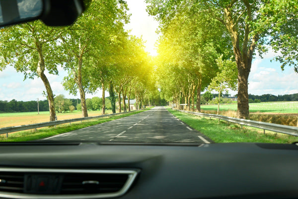 Scenic tree lined country road viewed through car windscreen