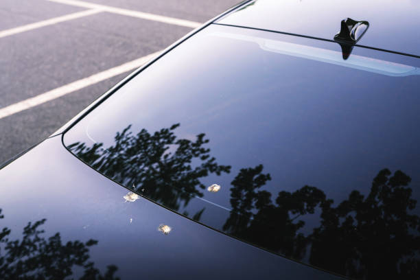 How to Get Bird Poop Off a Car (Without Damaging the Paint)