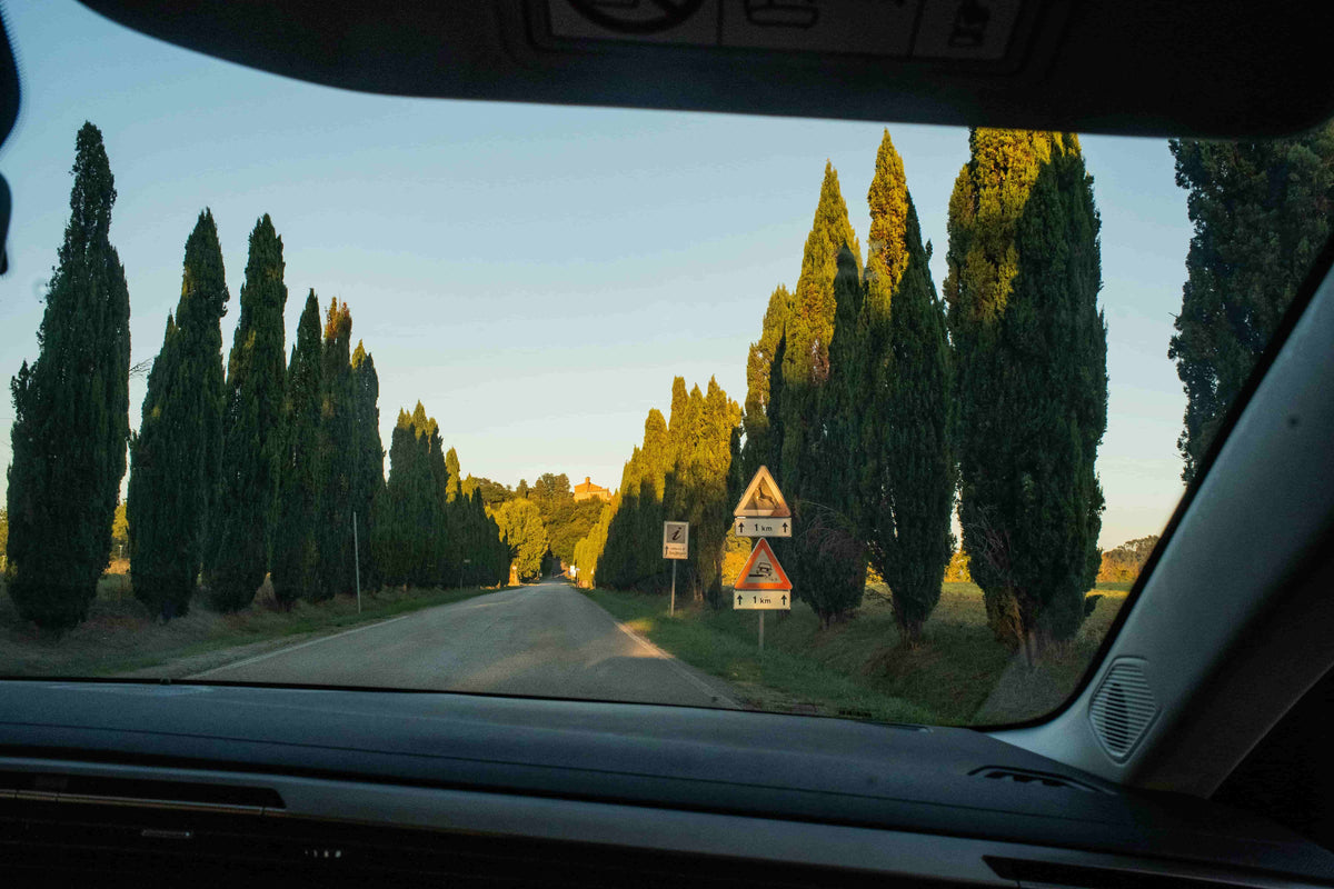 5 Reasons to Switch to Eco Friendly Screen Wash Tablets